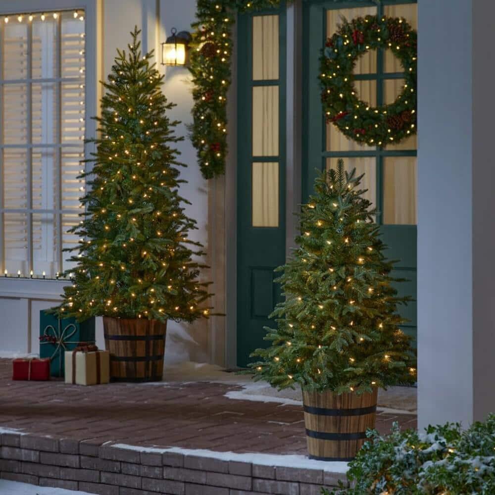 6 ft Fraser Fir Potted Christmas Tree