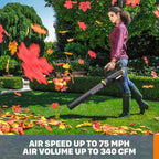 Nitro 40V 21" Cordless Lawn Mower Bundle with 20V String Trimmer, Edger &amp; Leaf Blower, 2 Batteries &amp; Charger