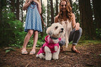 One for Pets All Season Dog Coat with Removable Fce Lining