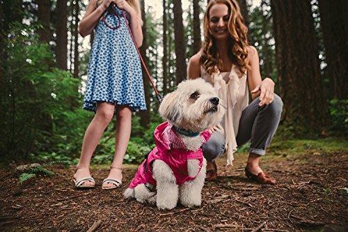One for Pets All Season Dog Coat with Removable Fce Lining