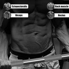 Weight Bars For Lifting With Ring Collars Set