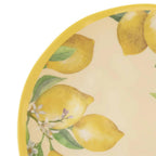 Lemons Outdoor Melamine Dinnerware Set