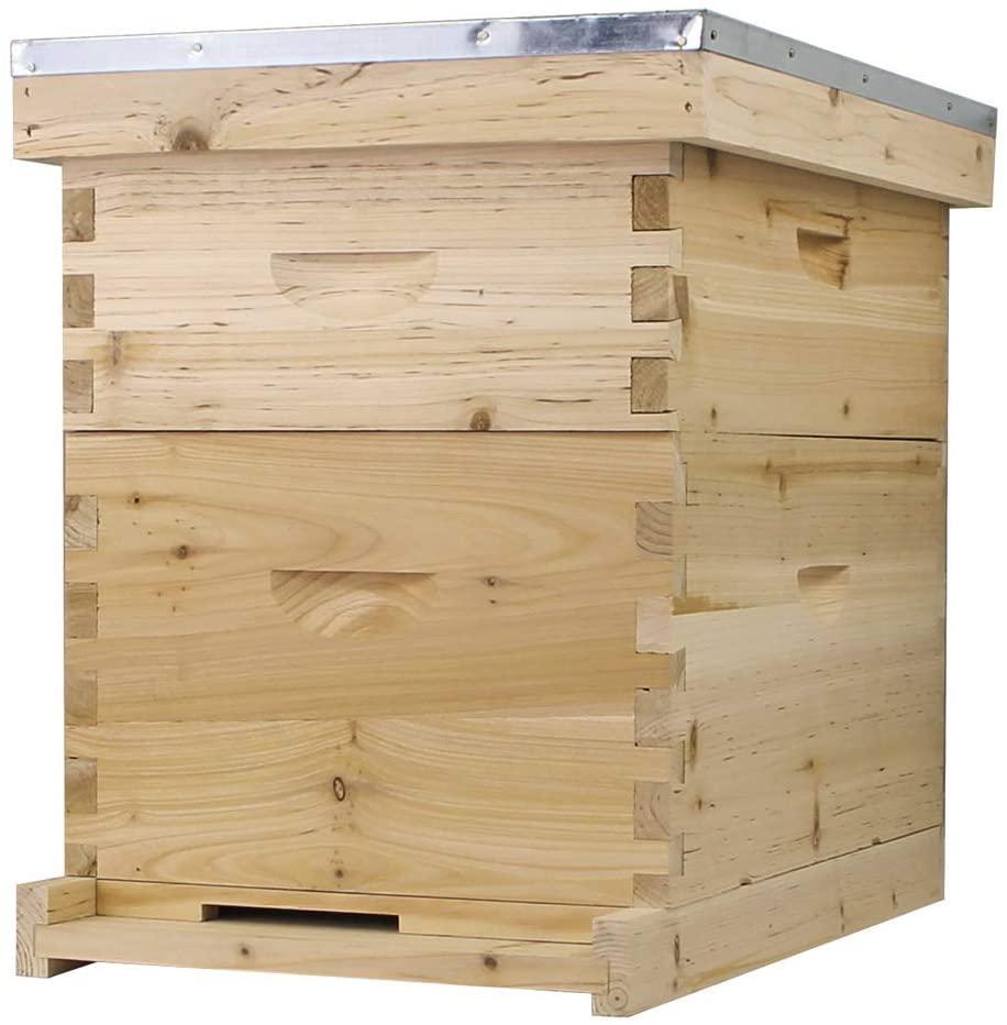starter bee hive with frames &amp; wax coated foundations (nu8-1d1m)