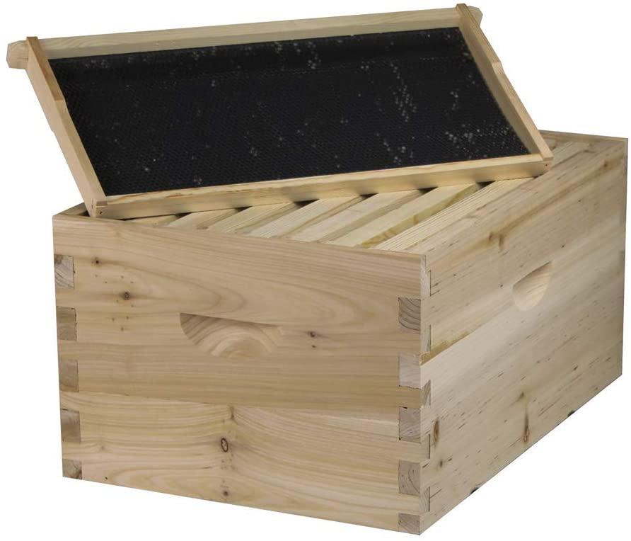 starter bee hive with frames &amp; wax coated foundations (nu8-1d1m)