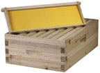 starter bee hive with frames &amp; wax coated foundations (nu8-1d1m)