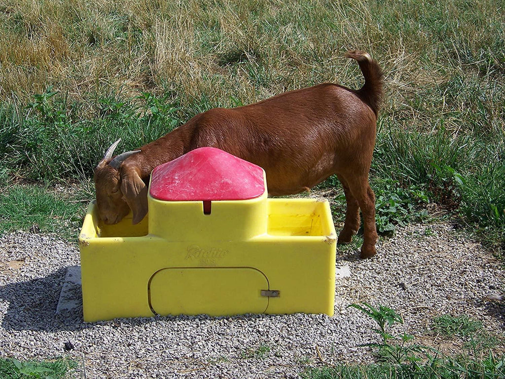ritchie watermatic 150s designed for goats - sheep - deer!