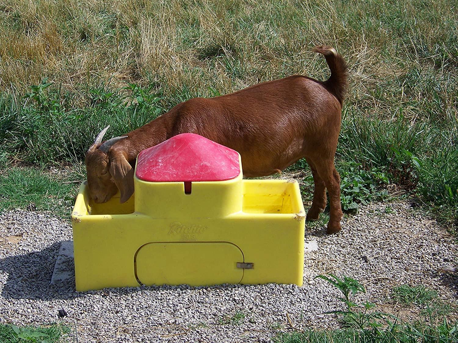 ritchie watermatic 150s designed for goats - sheep - deer!