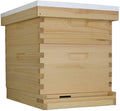 amish made in usa starter bee hive complete for honey with frames and foundations 10 frame