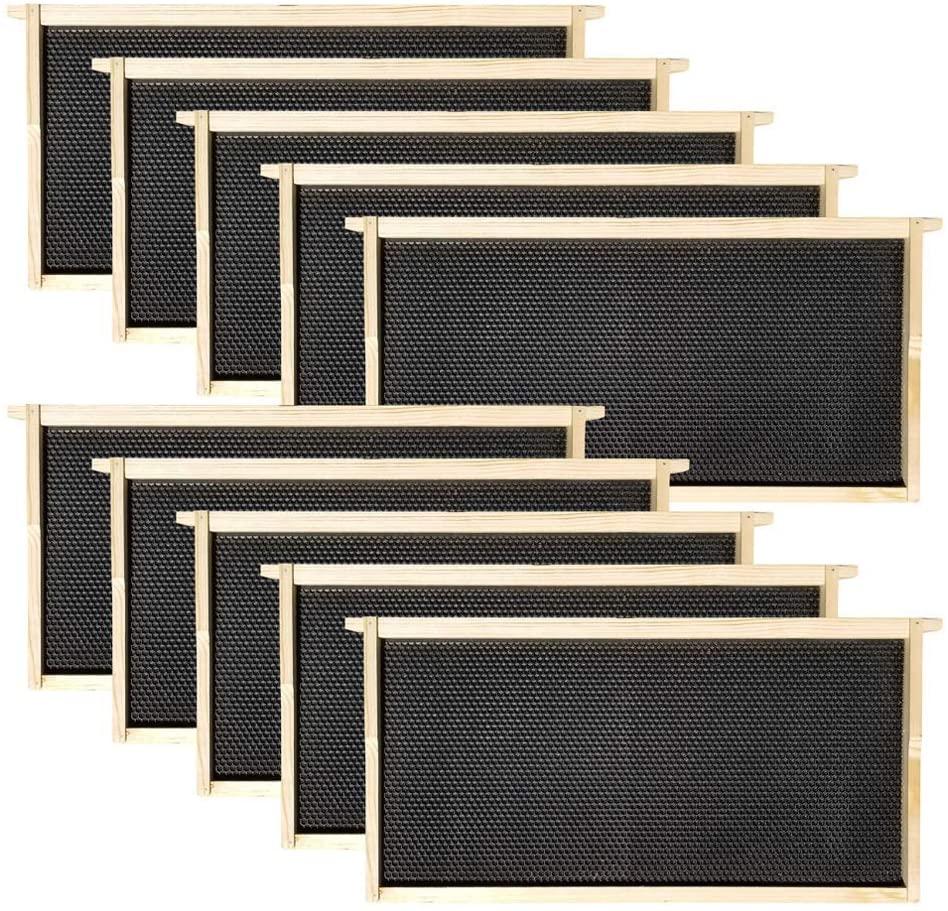 amish made in usa starter bee hive complete for honey with frames and foundations 10 frame