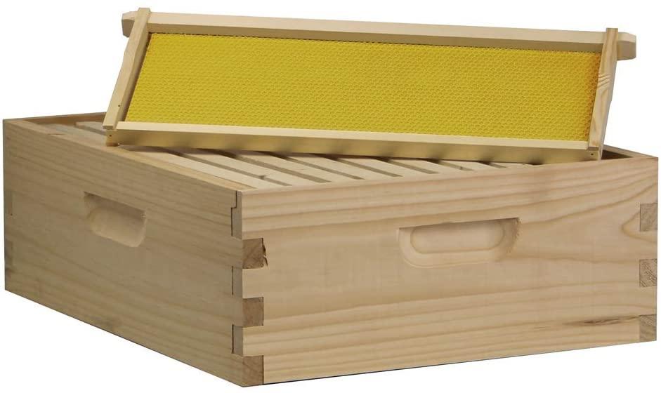 amish made in usa starter bee hive complete for honey with frames and foundations 10 frame
