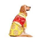 XIAOXIAN Big Dog Clothes LarDog Festival Tang Suit Golden Wool Coat Labrador Festive Pet Winter Clothes