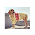 Walled Big Dog Clothes LarDog Festival Tang Suit Golden Wool Coat Labrador Festive Pet Winter Clothes Very Beautiful Clothes.