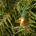 36" Norwood Fir Wreath with Battery Operated Dual Color LED Lights Artificial Christmas Wreath