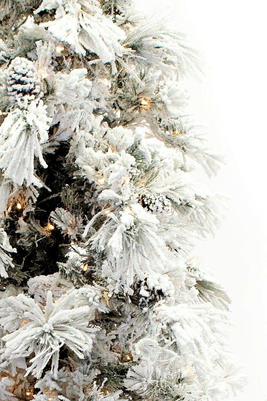 12' Flocked Pine Long Needle Prelit Artificial Christmas Tree
