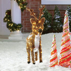 Standing Reindeer Christmas Decoration Lighted Display