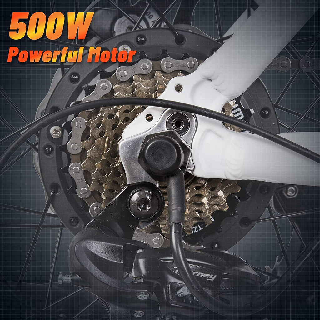 26 In. 36V 500W Electric Bicycle Mountain City E-bike Removable Battery High Speed Integrative