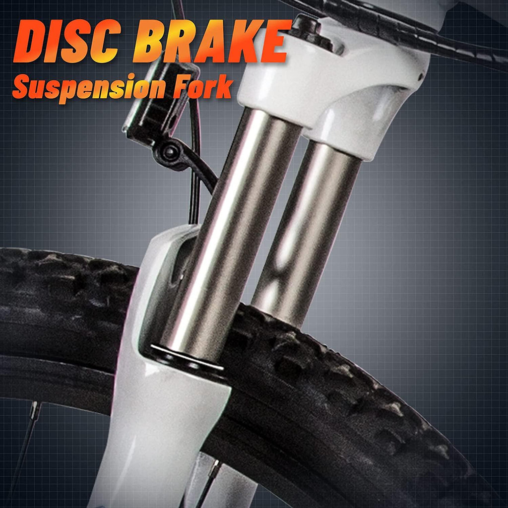 26 In. 36V 500W Electric Bicycle Mountain City E-bike Removable Battery High Speed Integrative