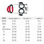 Dog Wheelchair, Pet Wheelchair Adjustable Pet/Cat Dog Wheelchair Hind Leg Rehabilitation Belly Band Protect Spine for Handicapped Dog 2-wheel,XS