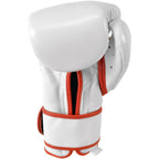 Cleto Reyes Hook and Loop Leather Training Boxing Gloves - 12 oz - Mexican Flag