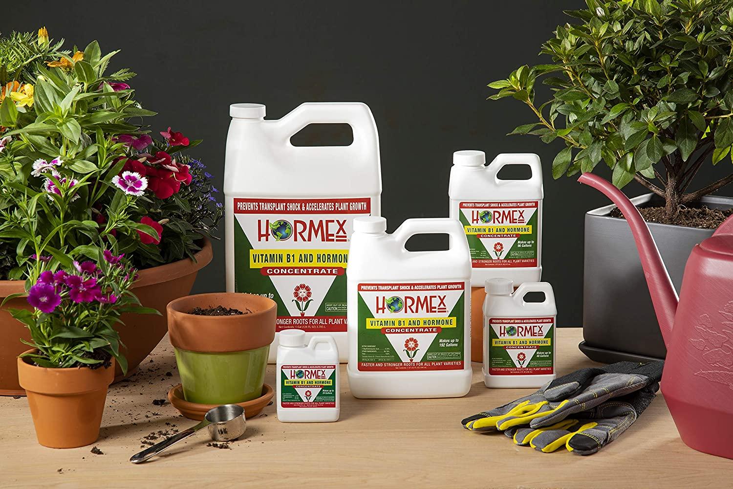 hormex vitamin b1 rooting hormone concentrate | prevents transplant shock | accelerates growth | stimulates roots | for all plant varieties and grow mediums including hydroponics (128 oz)