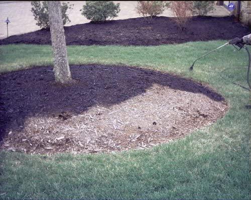 9,600 sq feet black forest mulch color concentrate