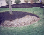 9,600 sq feet black forest mulch color concentrate