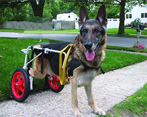 ZHIJIA Pet Disabled Wheelchair Pet Wheelchair Quality Aluminum Alloy 2 Wheel Sports Car for Disabled Dogs, Light Weight