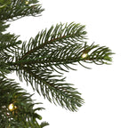 Northlight 30" Prelit LED Oregon Noble Fir Artificial Christmas Wreath - Warm White Lights