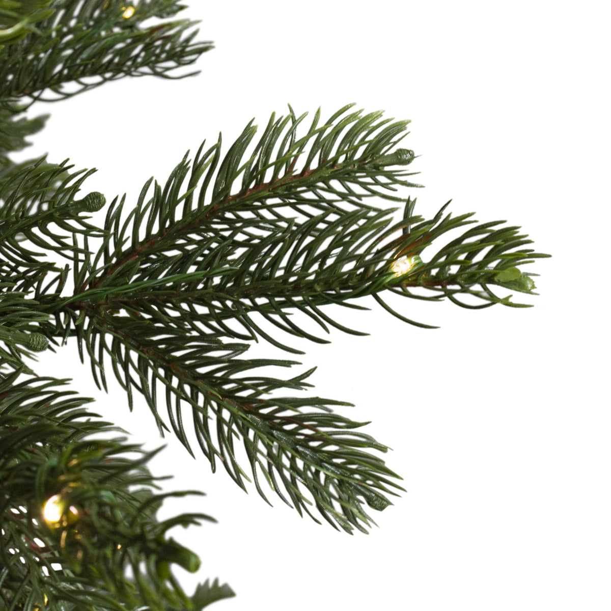 Northlight 30" Prelit LED Oregon Noble Fir Artificial Christmas Wreath - Warm White Lights