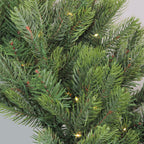 Northlight 30" Prelit LED Oregon Noble Fir Artificial Christmas Wreath - Warm White Lights