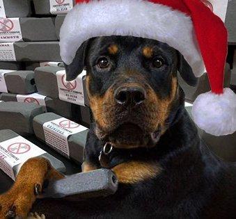 Indestructibone Virtually Indestructible Dog Chew Toy Kennel Pack (4 Different Sizes)