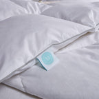 300 Thread Count White Down Comforter