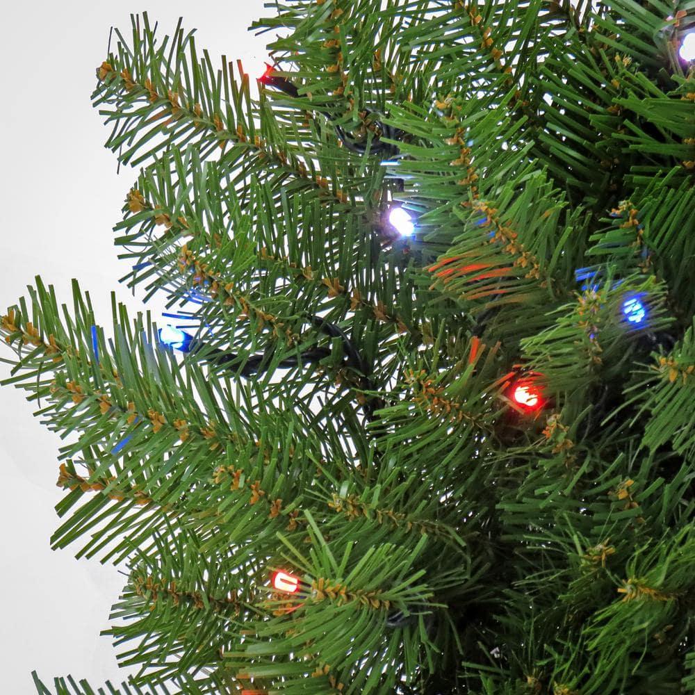 24 " Norwood Fir Artificial Christmas Wreath with Twinkly LED Lights