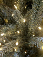 Open Box Defect Balsam Hill Sanibel Spruce 7' Tree with Candlelight LED Lights