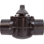Waterway Plastics 2"S Tru Seal 2-Way Diverter Valve Straight Assembly