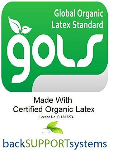 Back Support Systems Pet Support Systems Organic Latex Orthopedic Pet Bed - Give Support You Furry Ones Need - 4 Sizes