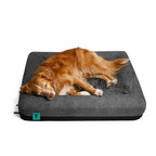 ZEE.DOG | Zee.Bed 2.0 for Dogs | Memory Foam Orthopedic Dog Bed | Removable Microfiber Cover