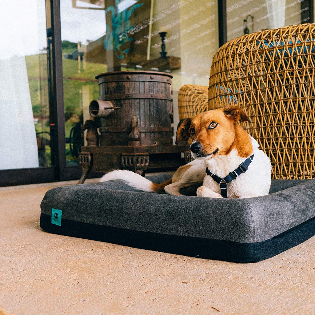ZEE.DOG | Zee.Bed 2.0 for Dogs | Memory Foam Orthopedic Dog Bed | Removable Microfiber Cover