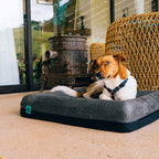 ZEE.DOG | Zee.Bed 2.0 for Dogs | Memory Foam Orthopedic Dog Bed | Removable Microfiber Cover