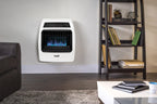 Dyna-Glo 20,000 BTU Liquid Propane Blue Flame Vent Thermostatic Wall Heater