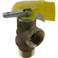 Raypak Pressure Relief Valve, Raypak 130A/207A/206A/R185A, 125 psi
