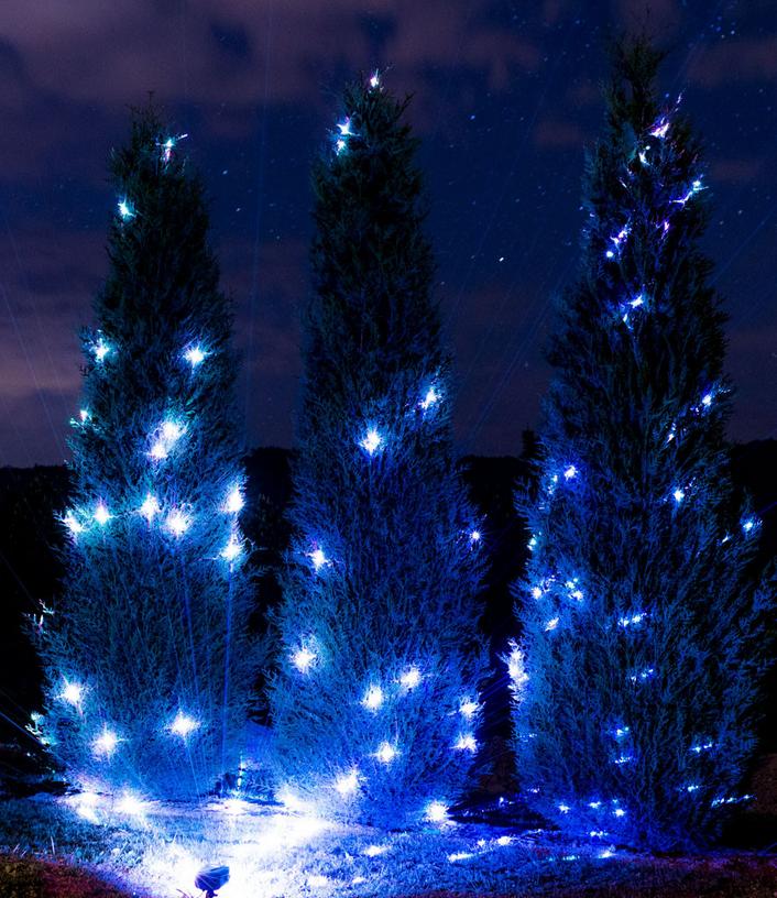 LEDMALL Full Spectrum Motion Star Effects 7 color WHITE Laser Christmas Lights, and WHITE LASER Decorative Lights with Remote control