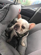 PupSaver Crash-Tested Car Safety Seat for Small Dogs