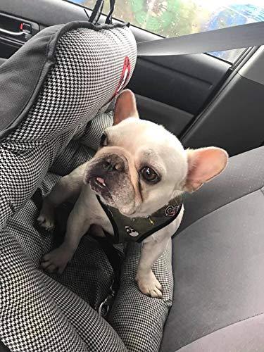 PupSaver Crash-Tested Car Safety Seat for Small Dogs