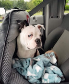 PupSaver Crash-Tested Car Safety Seat for Small Dogs