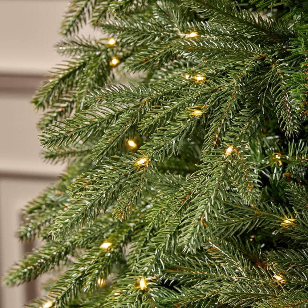 7.5 ft Jackson Noble Christmas Tree