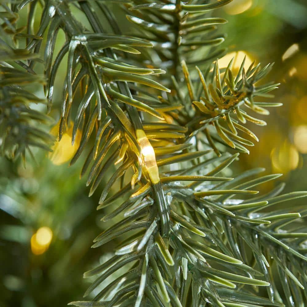 7.5 ft Jackson Noble Christmas Tree