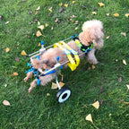 Zouminy Pet Wheelchair, 2 Wheels Pet Wheelchair Disabled Dog Assisted Walk Car Hind Leg Rehabilitation Auxiliary Car for Dogs Cats