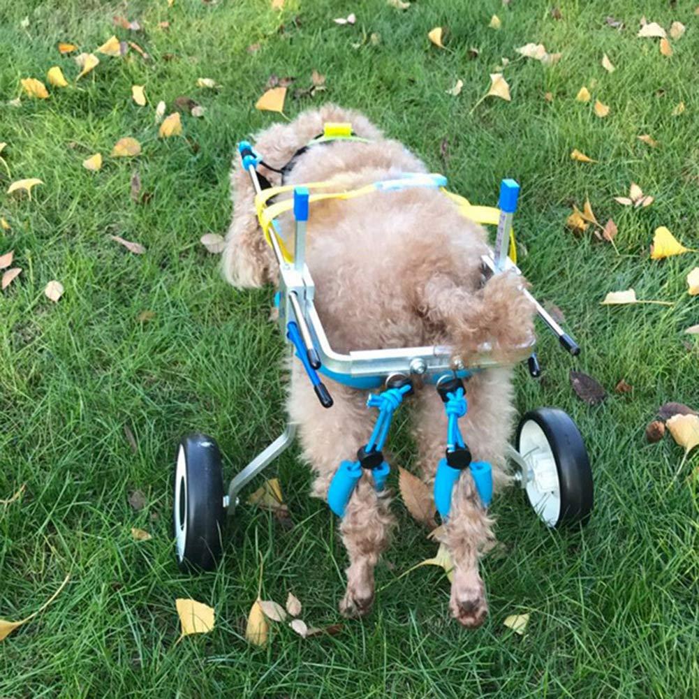 Zouminy Pet Wheelchair, 2 Wheels Pet Wheelchair Disabled Dog Assisted Walk Car Hind Leg Rehabilitation Auxiliary Car for Dogs Cats