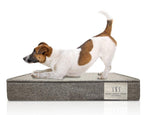 BrentHome 4-Inch Gel Memory Foam Orthopedic Pet Bed, Made in USA, Waterproof, CertiPUR-US